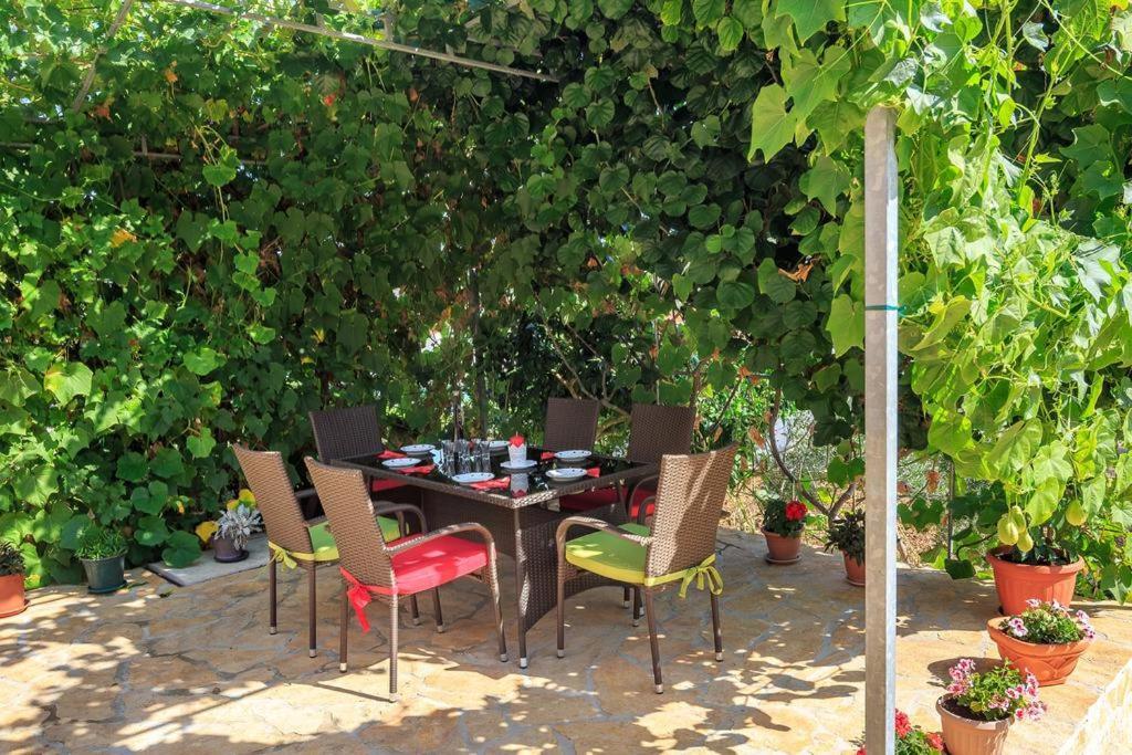 Apartment Zeljana