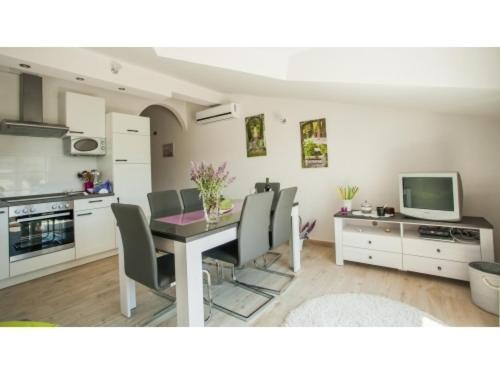 Zeljana Apartment Slatine