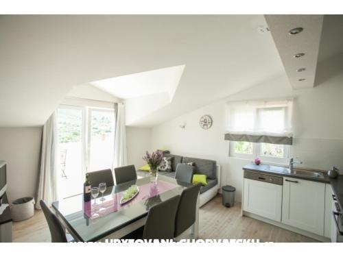 Apartment Zeljana Slatine